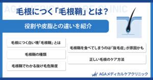 毛根鞘 気持ちいい|毛根につく「毛根鞘」とは？役割や皮脂との違いを紹。